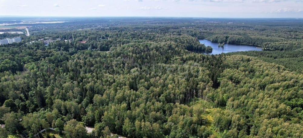 Дом, 80 м2, 12 соток, 2 эт. Санкт-Петербург - изображение 7