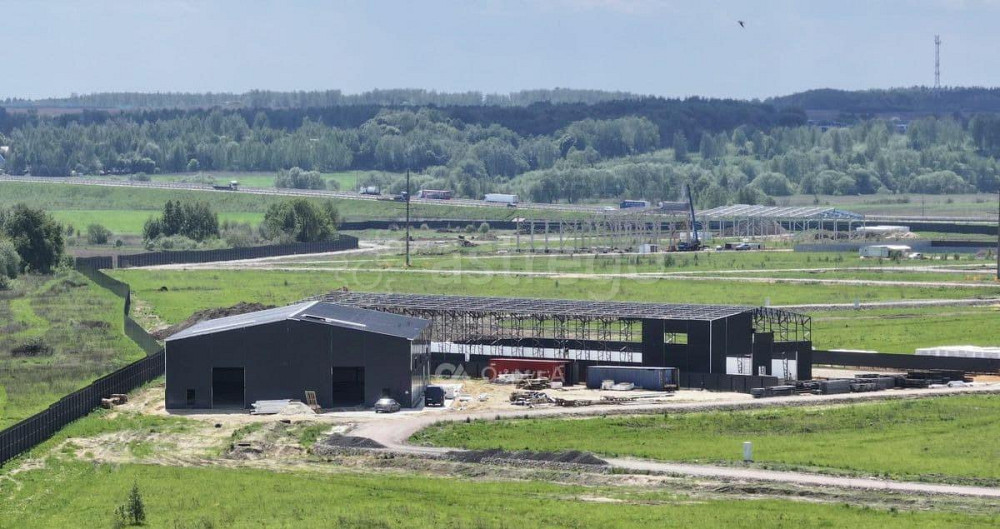 Коммерческий участок, 1 га Ногинск - изображение 7