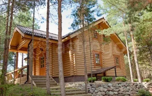 Оцилиндрованное бревно от Производителя Березники - изображение 1