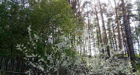 Земельный участок, 12 соток Красноярск