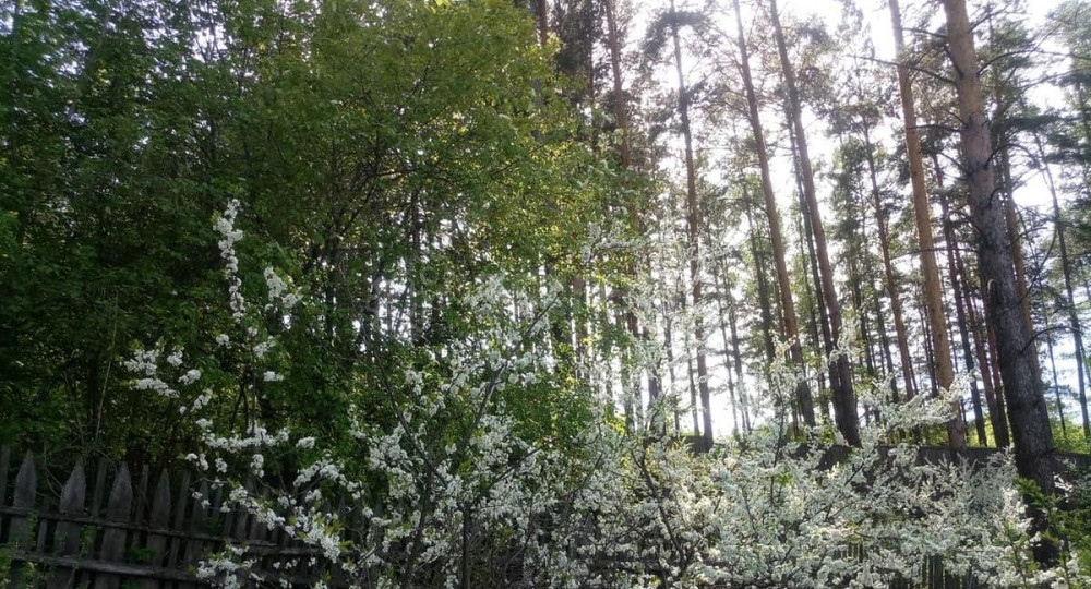 Земельный участок, 12 соток Красноярск - изображение 2