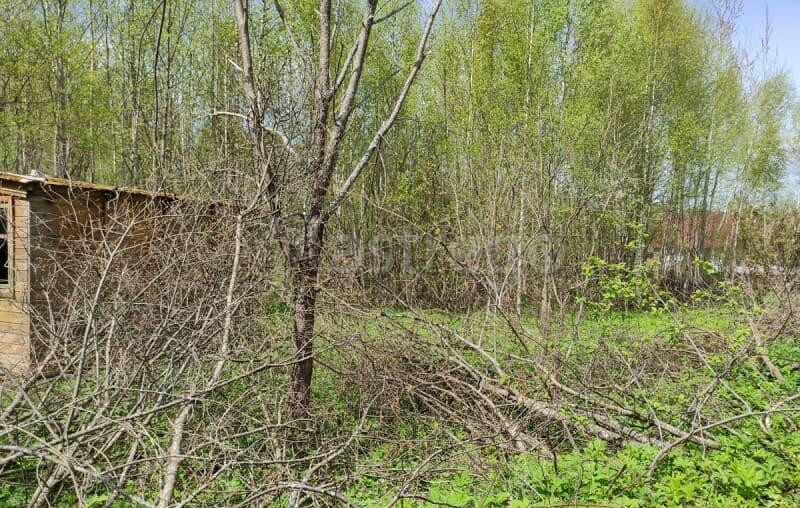 Земельный участок, 10 соток Волоколамск - изображение 7