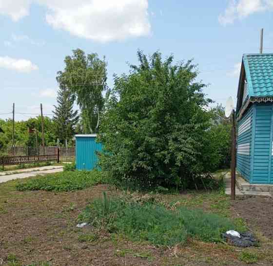 Дом, 42.6 м2, 14 соток, 1 эт. Шипуново