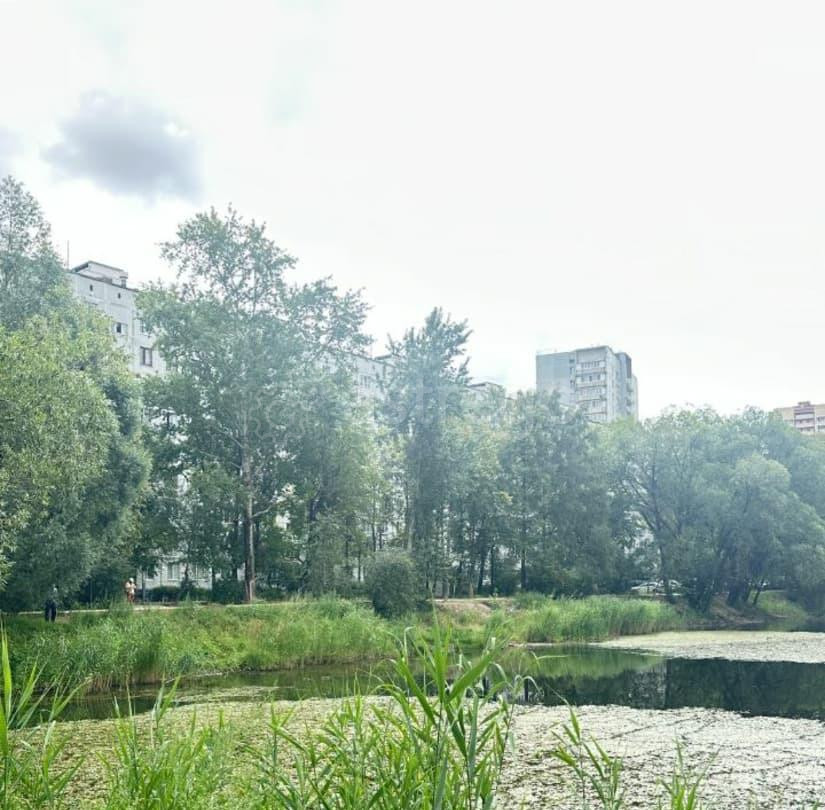 3-комн. квартира, 58.3 м2, 9/9 эт. Котельники - изображение 1