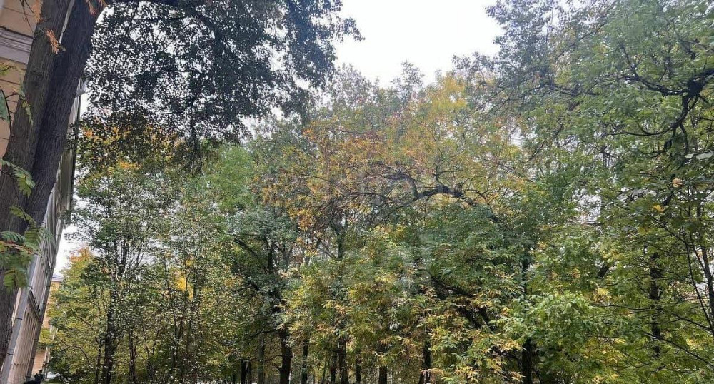 2-комн. квартира, 110.7 м2, 2/4 эт. Санкт-Петербург - изображение 6
