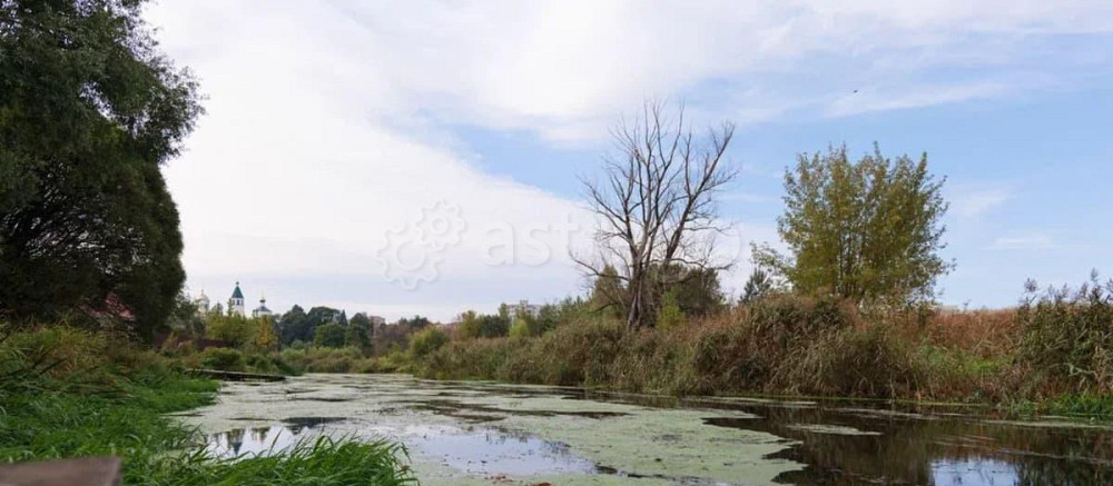 Дом, 234 м2, 19 соток, 2 эт. Клин - изображение 6