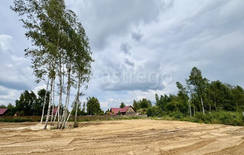Земля с/х назначения, 19 соток Орехово-Зуево - изображение 9