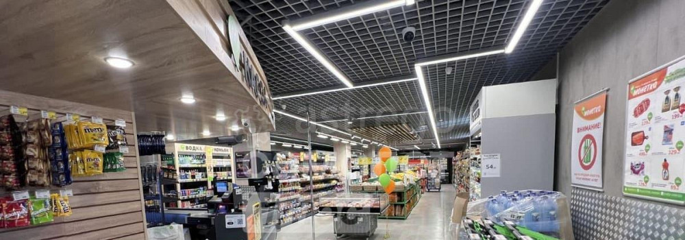 Свободного назначения, 256.8 м2 Барнаул - изображение 2