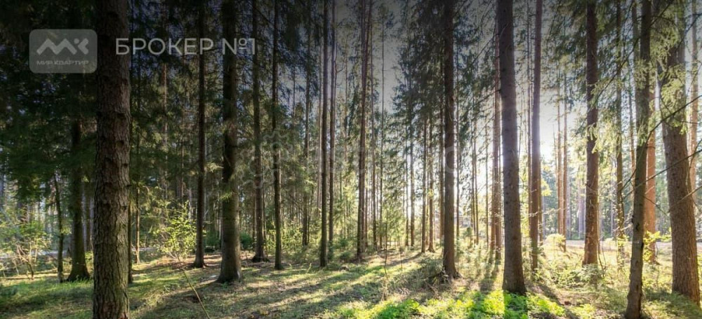 Земельный участок, 20 соток Санкт-Петербург - изображение 2