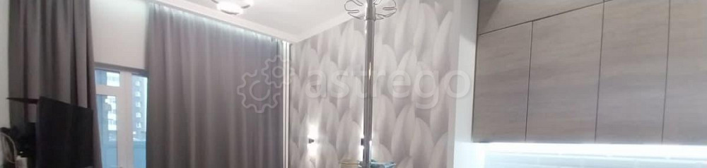 Студия, 29 м2, 1/17 эт. Старая Купавна - изображение 3