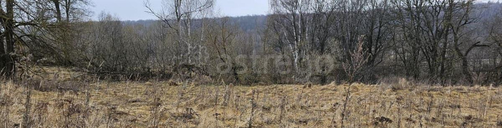 Земельный участок, 20 соток Луховицы - изображение 2