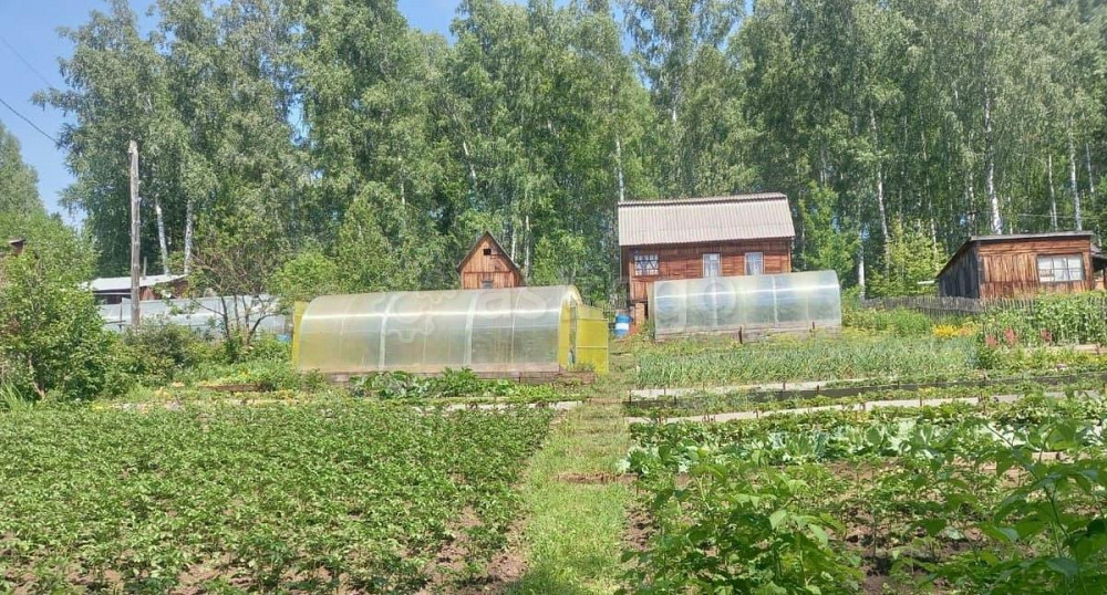 Дом, 35 м2, 10 соток, 2 эт. Березовка - изображение 4