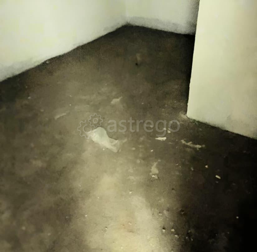 Склад, 16 м2 Красноярск - изображение 3