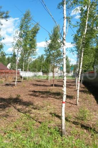 Земля с/х назначения, 8 соток Павловский Посад - изображение 7
