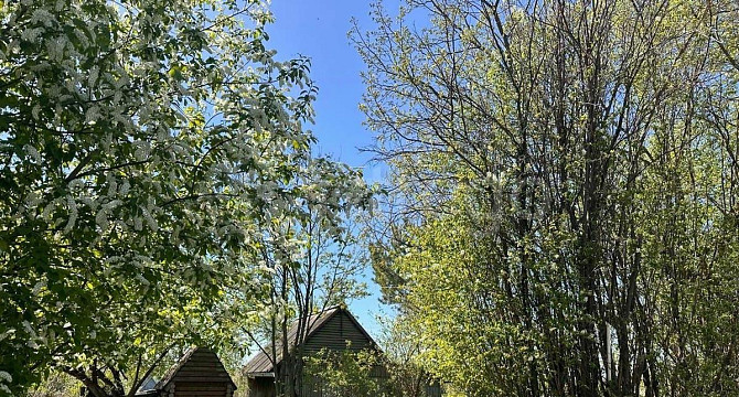 Дом, 30 м2, 10 соток, 1 эт. Павловск - изображение 2