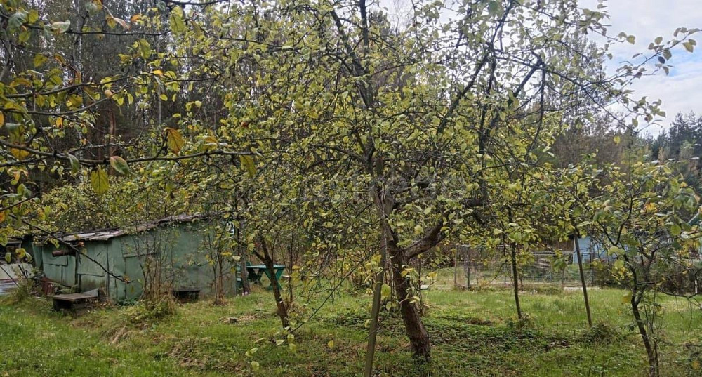 Земельный участок, 6 соток Санкт-Петербург - изображение 1