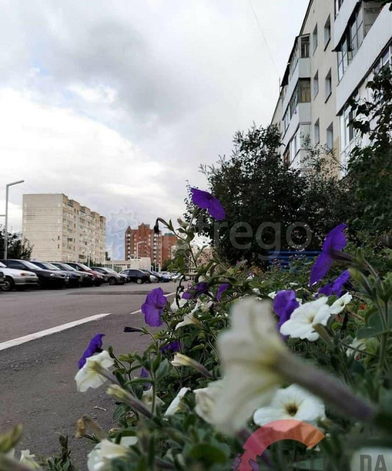 2-комн. квартира, 40 м2, 5/5 эт. Нефтекамск - изображение 10