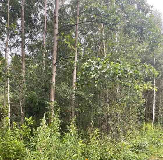 Земельный участок, 22.43 сотки Павловский Посад