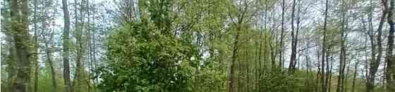 Земельный участок, 12.34 сотки Лосино-Петровский