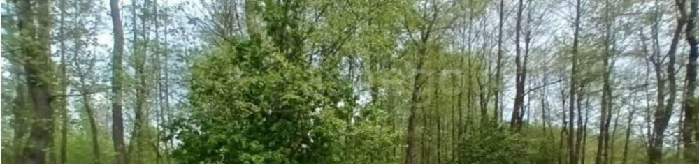 Земельный участок, 12.34 сотки Лосино-Петровский - изображение 1