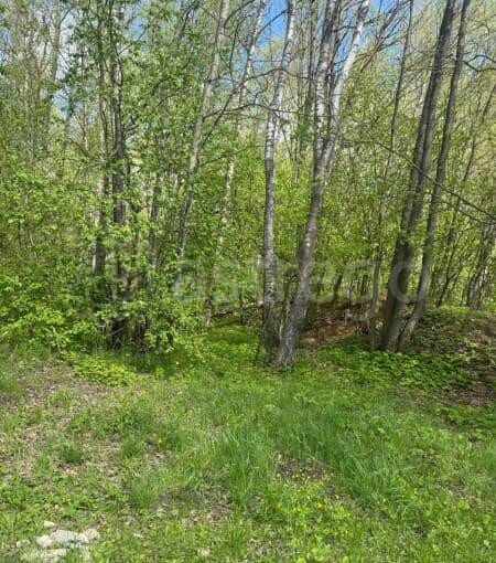 Дача, 45 м2 Чехов - изображение 2