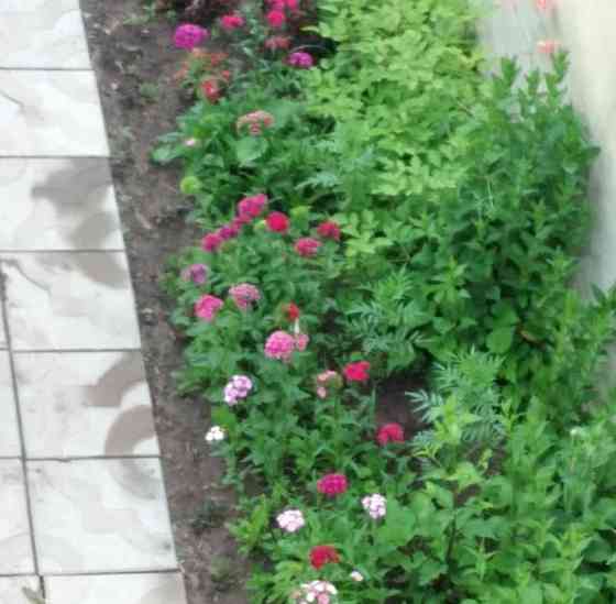 Дом, 325 м2, 20 соток, 2 эт. Канск