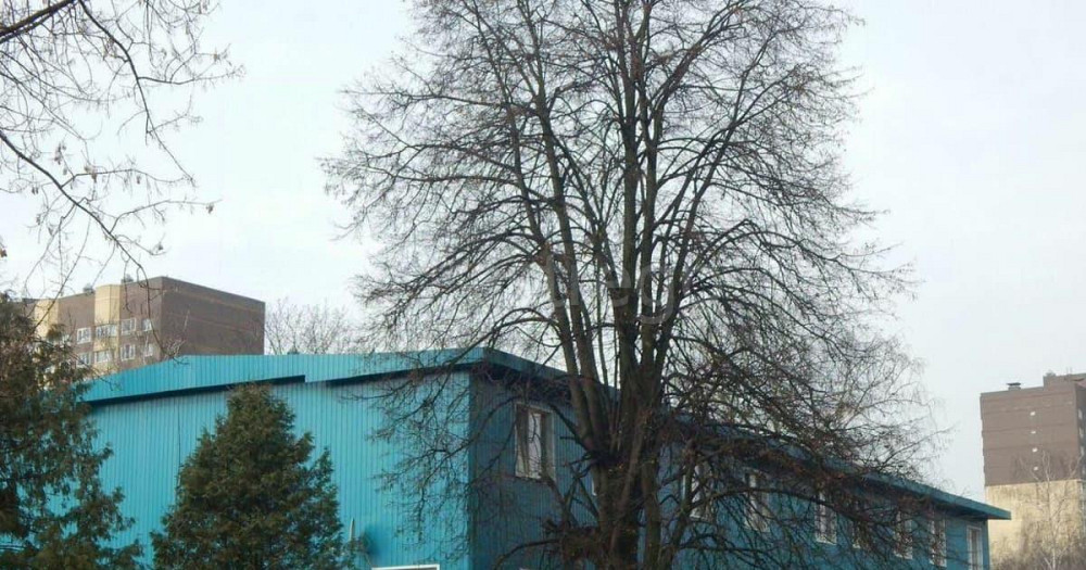 Дом, 947 м2, 9.87 га, 3 эт. Мытищи - изображение 2