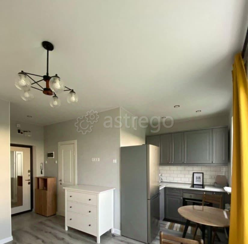 Студия, 25 м2, 11/24 эт. Долгопрудный - изображение 7