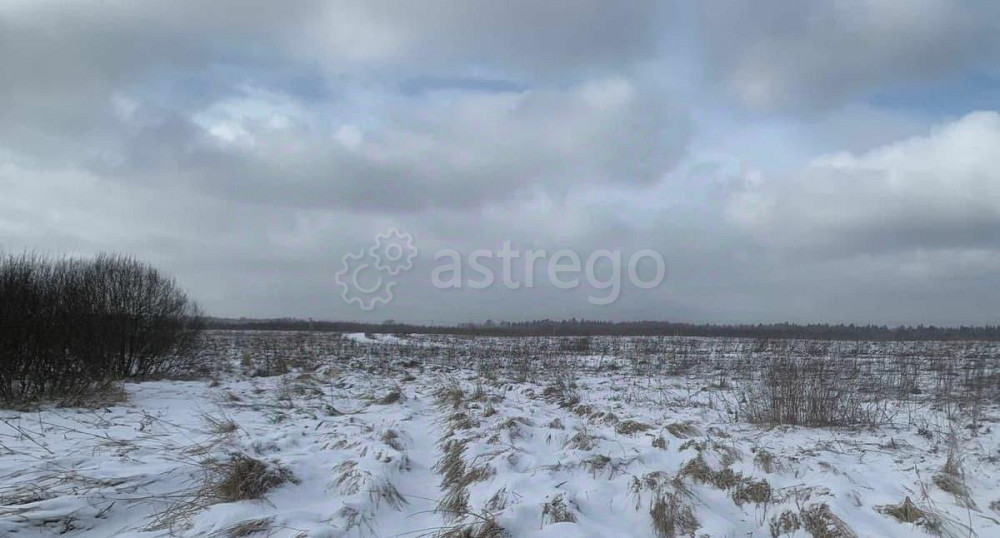 Земельный участок, 16.59 сотки Истра - изображение 2