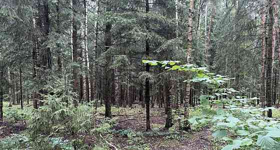 Коммерческий участок, 25 соток Кубинка