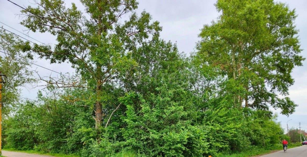 Земельный участок, 10 соток Сергиев Посад - изображение 5