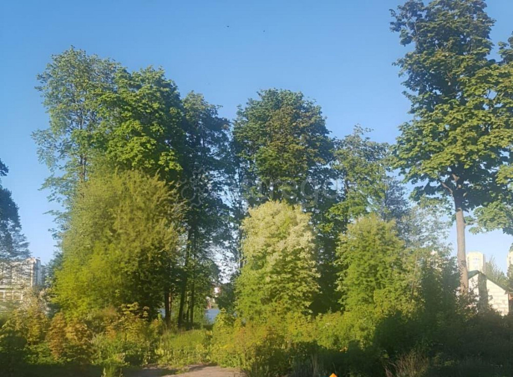 Земельный участок, 23 сотки Санкт-Петербург - изображение 7