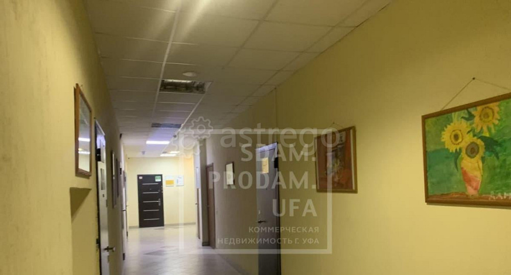 Офис, 79.1 м2 Уфа - изображение 2