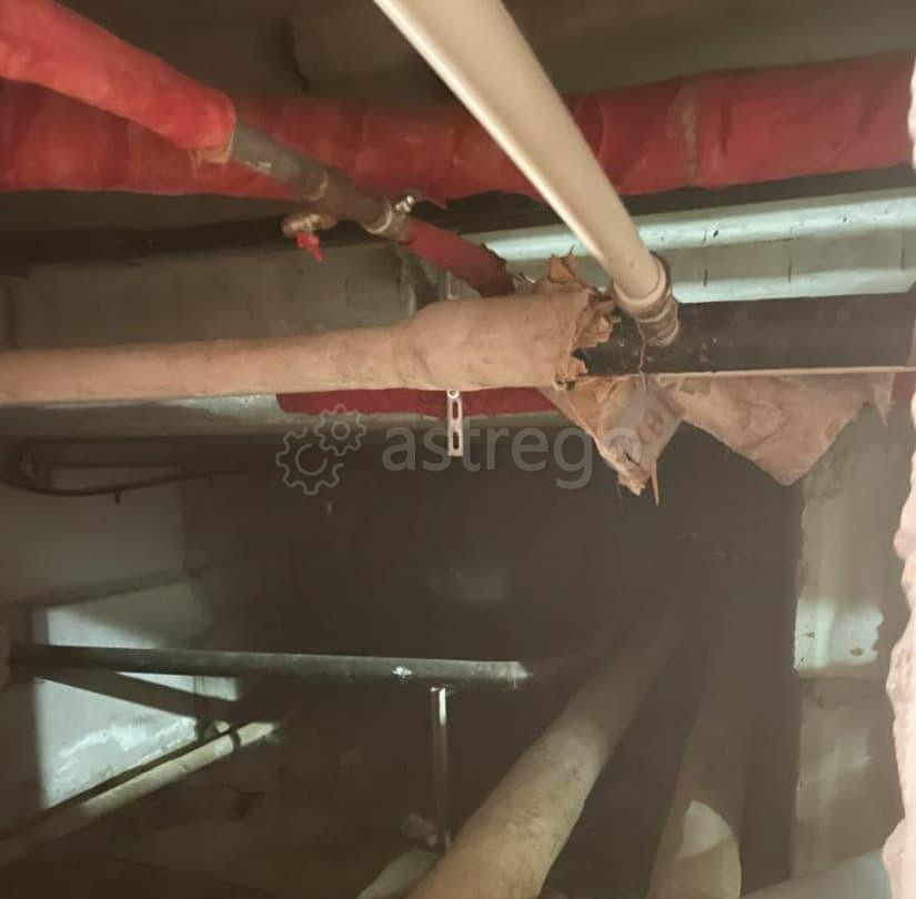 Свободного назначения, 295.8 м2 Санкт-Петербург - изображение 6