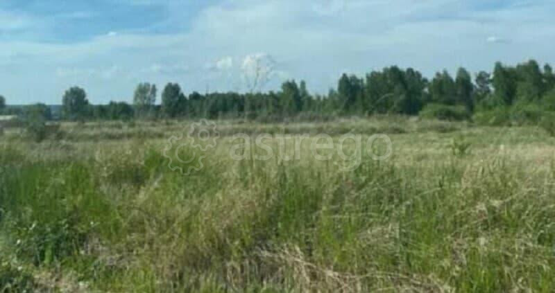 Земля под ИЖС, 8 соток Березовка - изображение 2
