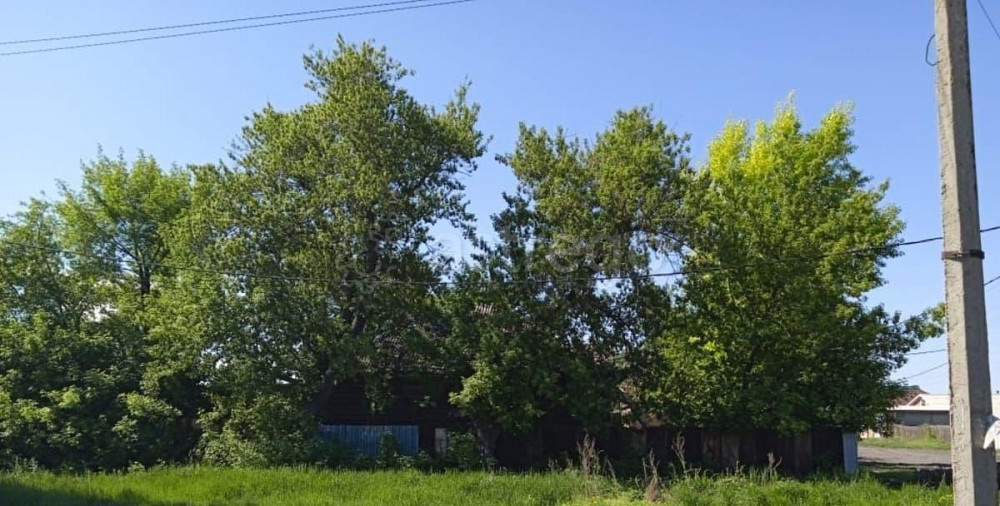 Отдельное здание, 965.9 м2 Рубцовск - изображение 7