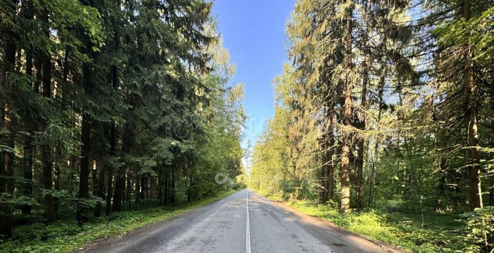 Коммерческий участок, 50 соток Пушкино - изображение 2