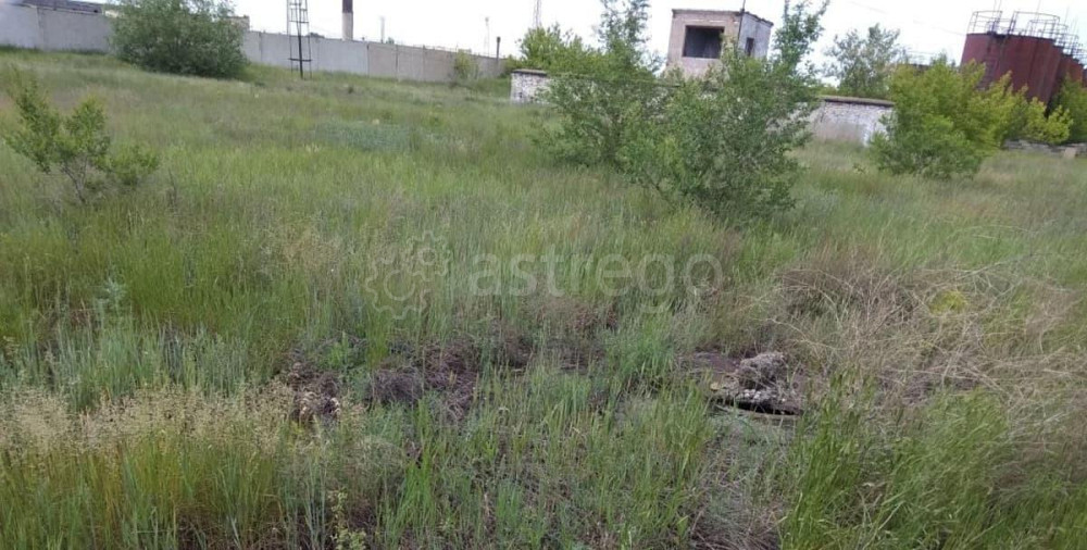 Свободного назначения, 551 м2 Кулунда - изображение 2