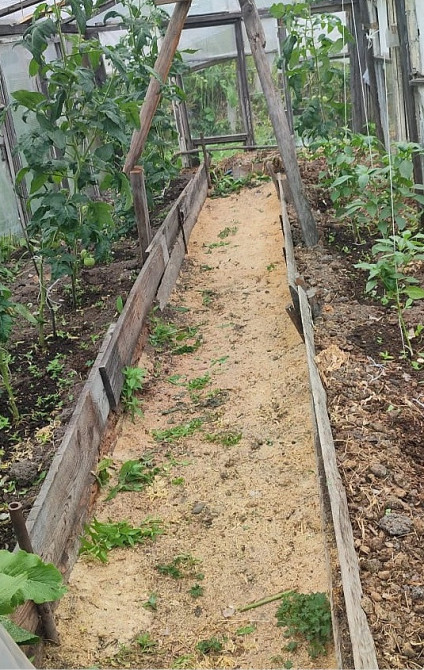 Продам дачу, 30 м2, Садовый Участок 6 сот. Комсомольск-на-Амуре - изображение 10