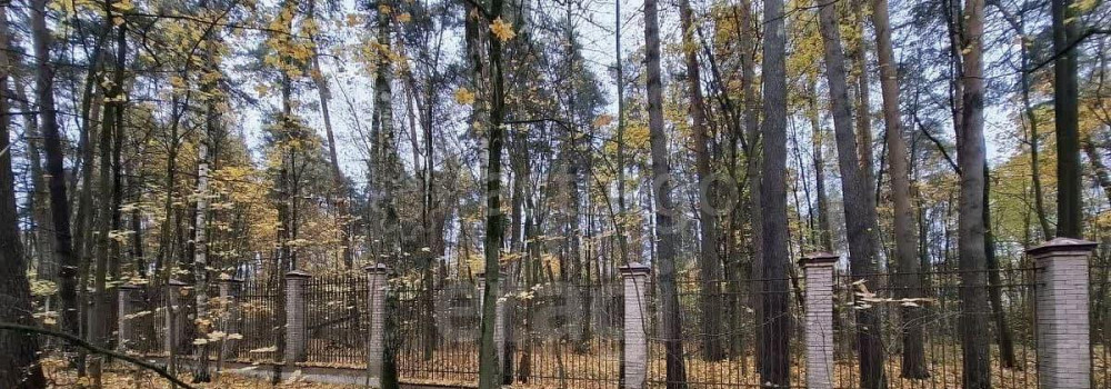 Земельный участок, 16.76 сотки Королев - изображение 2