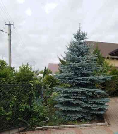 Коттедж, 252 м2, 4 сотки Дубовое