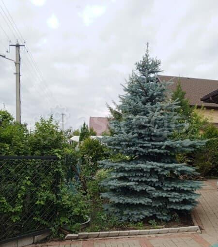 Коттедж, 252 м2, 4 сотки Дубовое - изображение 4