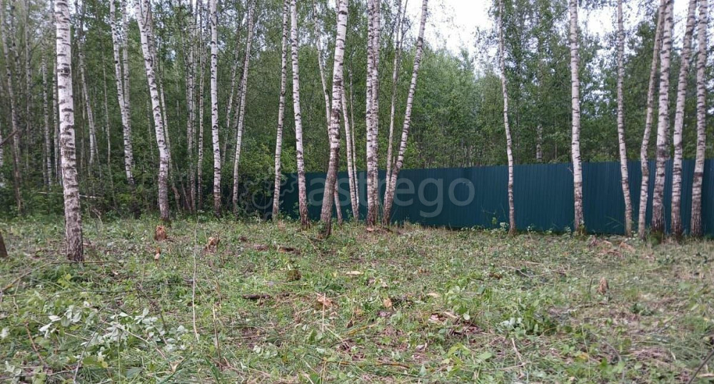 Земельный участок, 9 соток Павловский Посад - изображение 7