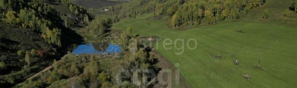 Земельный участок, 12.9 га Алтайское - изображение 4