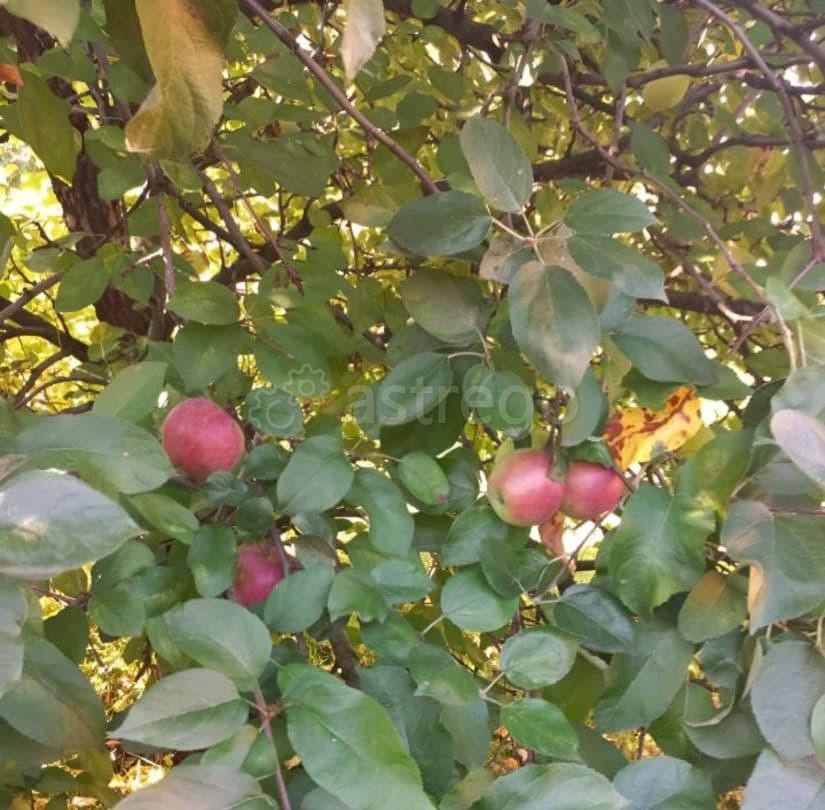 Коттедж, 397 м2, 15.3 сотки, 2 эт. Дедовск - изображение 5