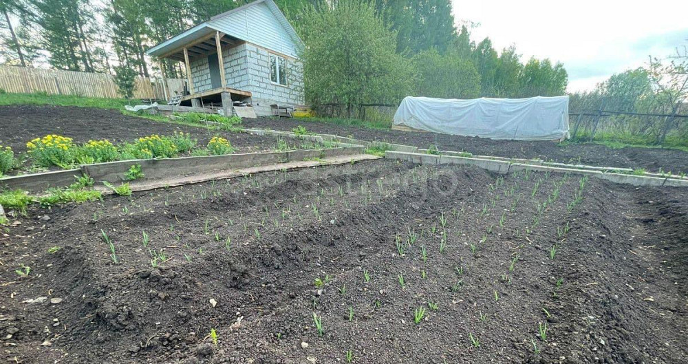 Земельный участок, 6 соток Шарыпово - изображение 5