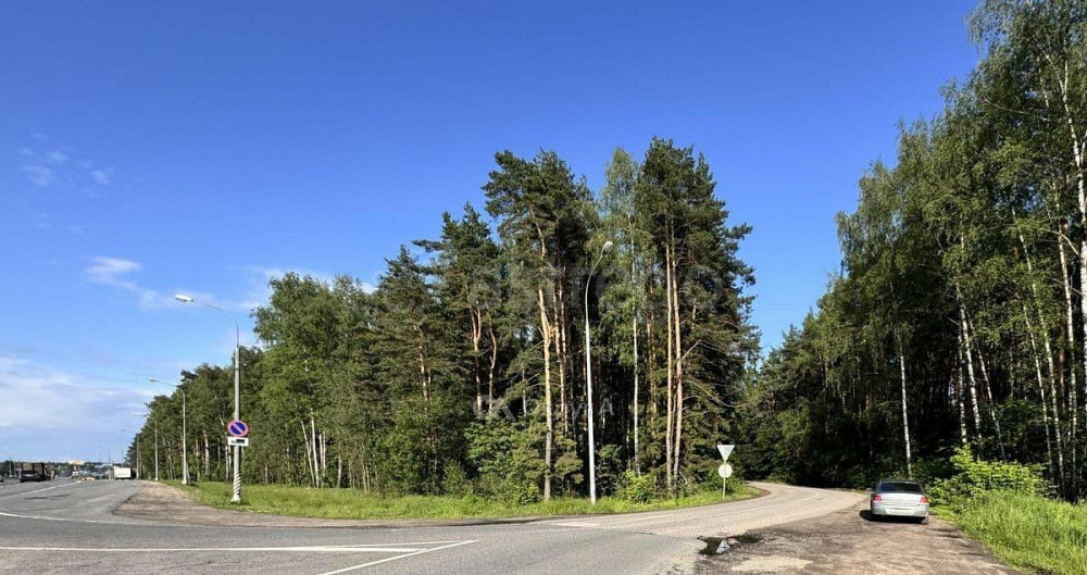 Коммерческий участок, 50 соток Пушкино - изображение 5