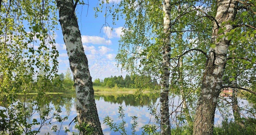 Земельный участок, 11.5 сотки Шаховская - изображение 6