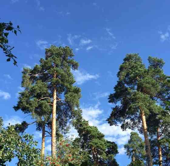 Дом, 60.5 м2, 7.4 сотки, 1 эт. Пушкино