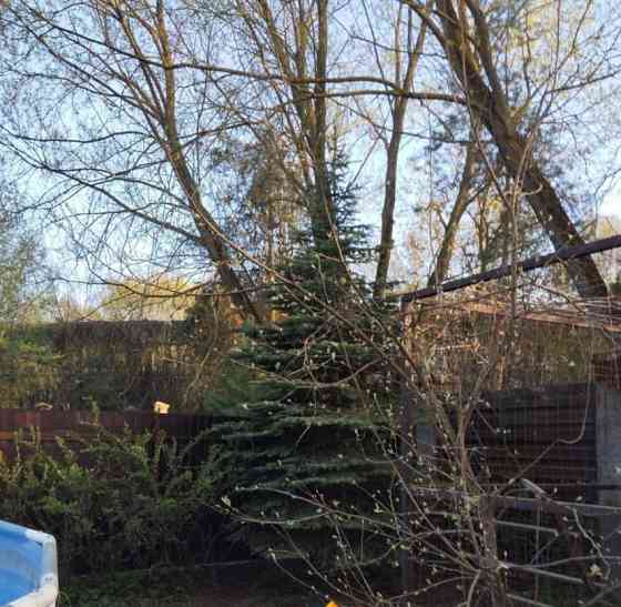 Земельный участок, 6 соток Химки